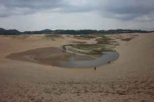 tottori  204