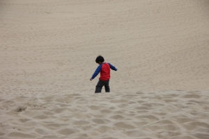 tottori  205