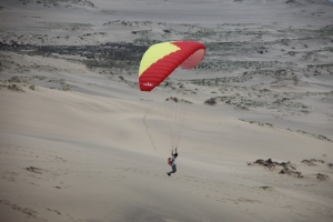 tottori  209