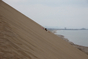 tottori  216