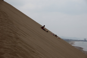 tottori  217
