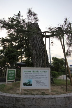 tottori  187