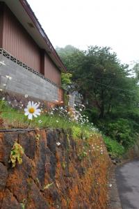touya muroran 095