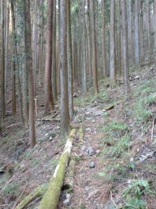 tsutsujiyama 004