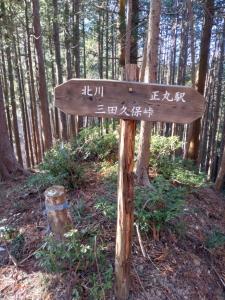 tsutsujiyama 005