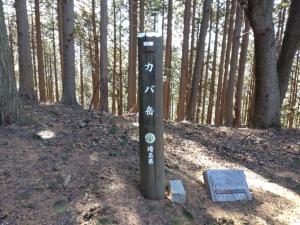 tsutsujiyama 035