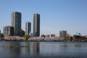 ueno sakura 20150331 017