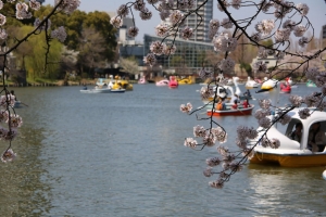 ueno sakura 20150331 034