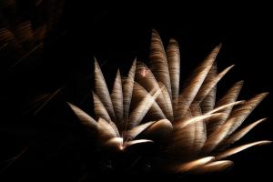 urawa hanabi 085