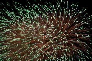 urawa hanabi 112