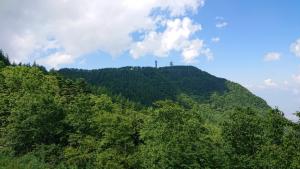 utsukushi 005