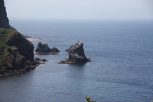 桃台・猫台（礼文）