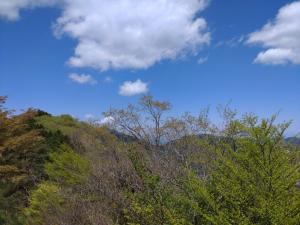 蕨山・有間山（１／２）