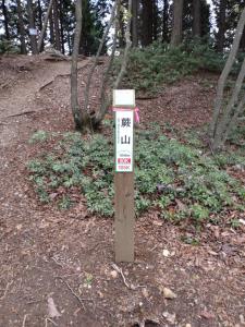warabiyama 028