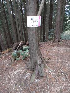 warabiyama 029