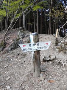 warabiyama 065