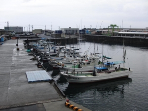 yakushima 0003