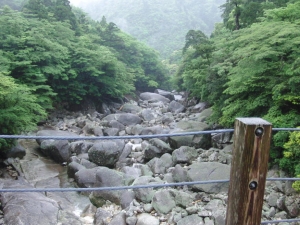 yakushima 0009