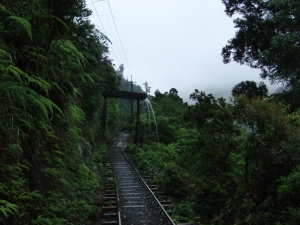 yakushima 0010