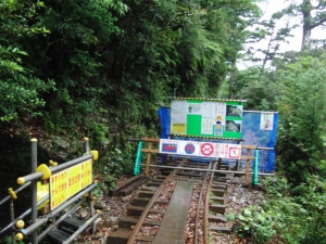 yakushima 0015