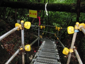 yakushima 0016