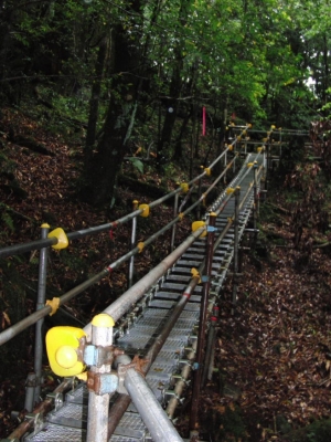 yakushima 0017