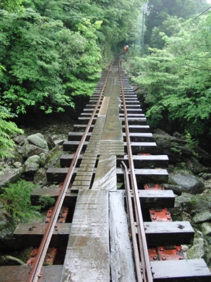 yakushima 0018