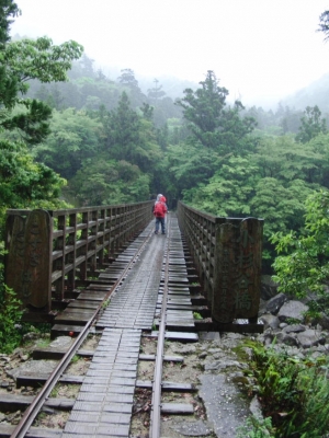 yakushima 0019