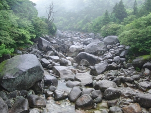 yakushima 0020