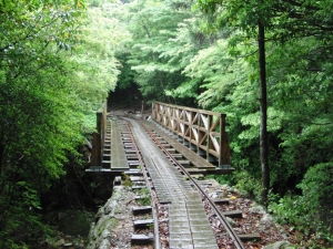 yakushima 0021