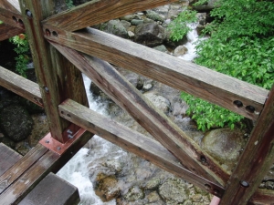 yakushima 0024