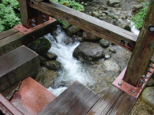 yakushima 0025