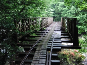 yakushima 0027