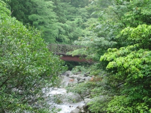 yakushima 0030