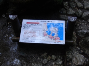 yakushima 0040