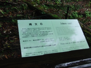 yakushima 0048
