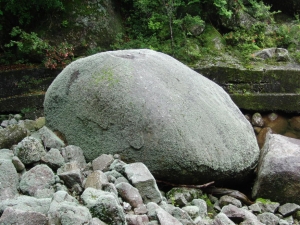 yakushima 0107