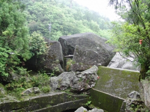 yakushima 0108