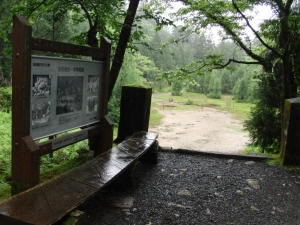 yakushima 0111
