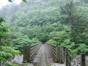 yakushima 0113