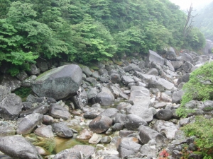 yakushima 0114