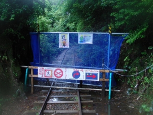 yakushima 0117