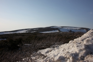 yamagata1 0017