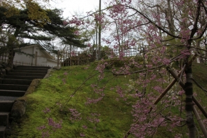 yamagata3 0004