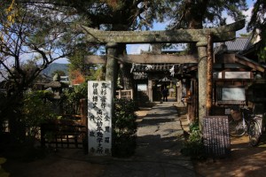 tsuwano hagi 079