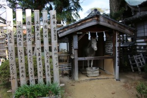 tsuwano hagi 083