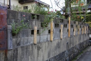 tsuwano hagi 091