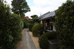 tsuwano hagi 094