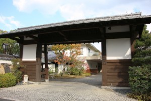 tsuwano hagi 101