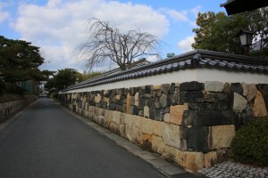 tsuwano hagi 102